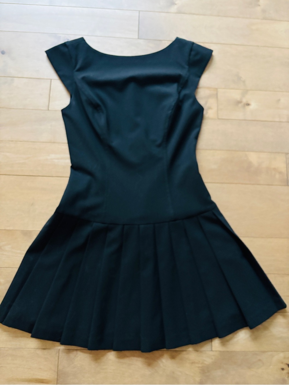 Aritzia Palette Pleated dress